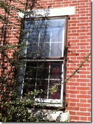 Photo Mar 19, 4 17 50 PM